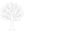 Pillette Village